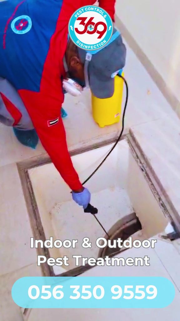 369 Pest Control LLC — pest control in Dubai, photo 1