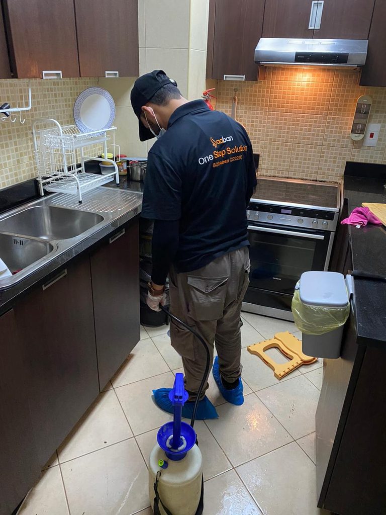 Aaban Classic Building Cleaning — pest control in Dubai, photo 1