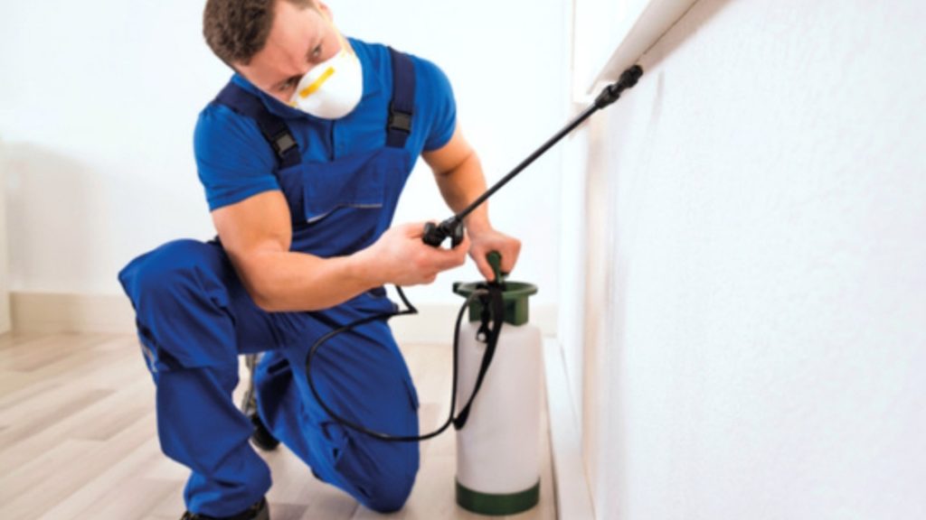 Abdulla Ali Moosa Pest Control — pest control in Dubai, photo 1
