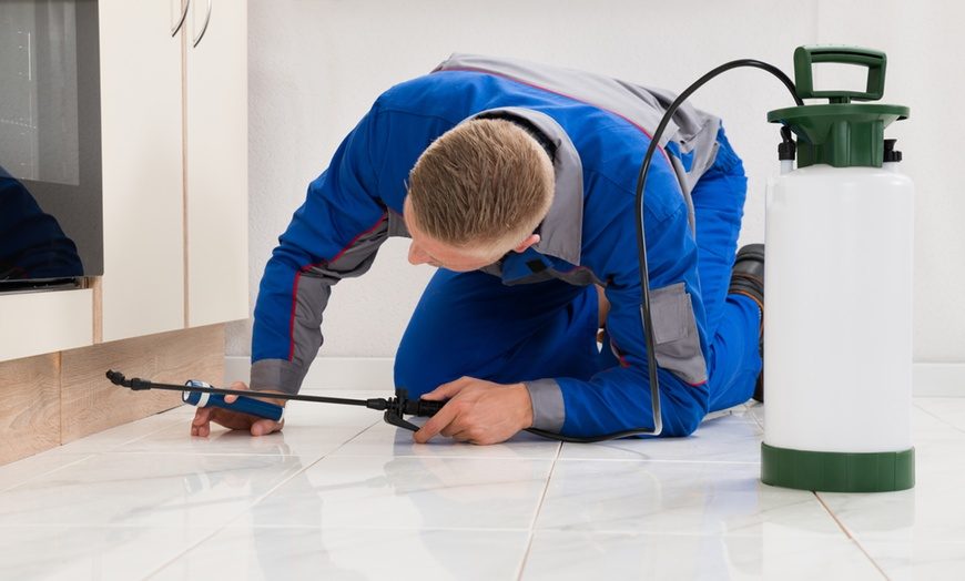 Absher Pest Control (Dubai) — pest control in Dubai, photo 1