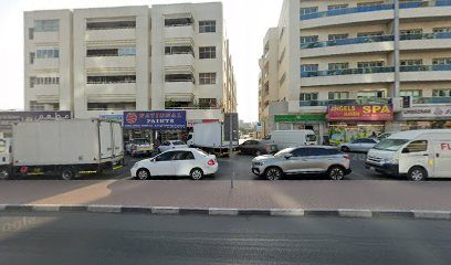 Absolute Pest Control Services — pest control in Dubai, photo 1