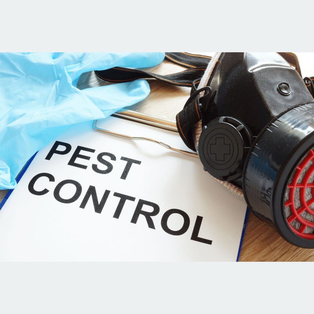 Aim Premium Service Pest Control (Sharjah) — pest control in Sharjah, photo 1