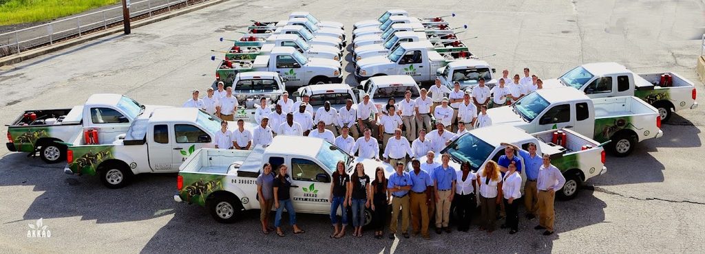 Akkad Pest Control Service — pest control in Dubai, photo 1