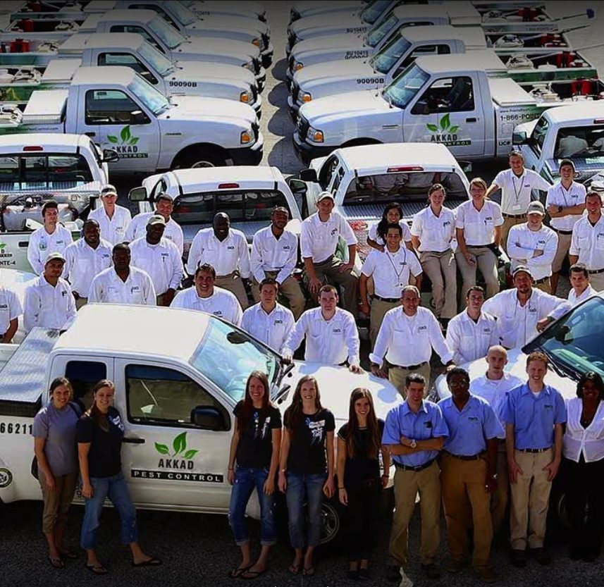 Akkad Pest Control Services — pest control in Dubai, photo 1