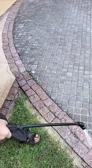 Al Almaniya Pest Control — pest control in Abu Dhabi, photo 1