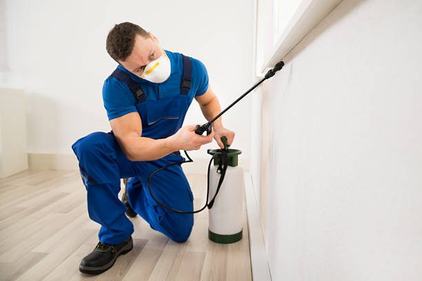 Al Banan Pest Control — pest control in Dubai, photo 1