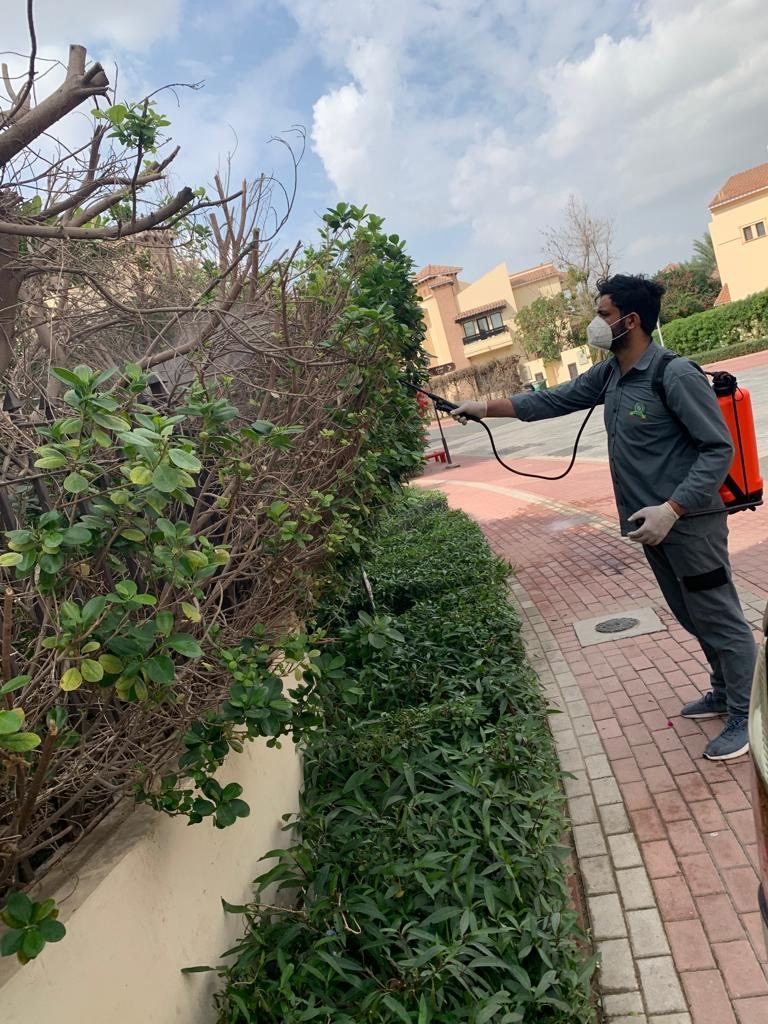 Al Jazeerah Pest Control (Dubai) — pest control in Dubai, photo 1