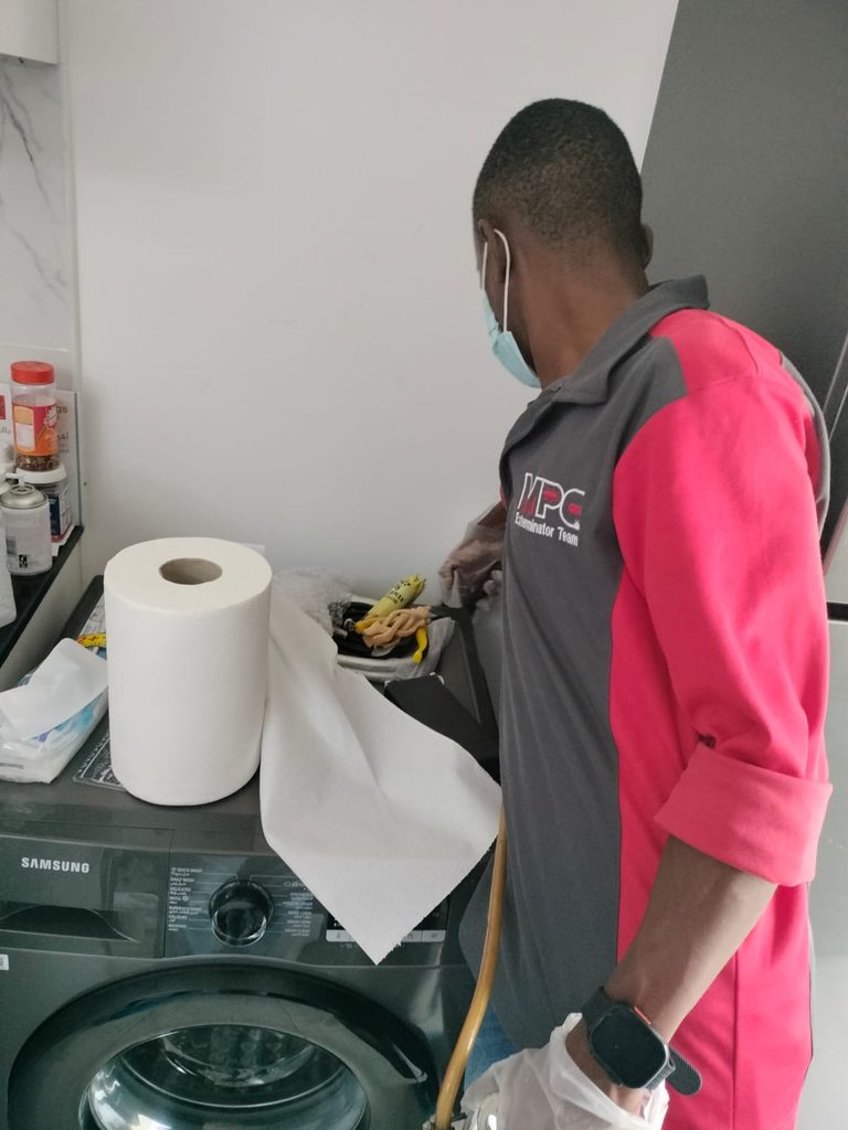 Al Mandhar Pest Control — pest control in Dubai, photo 1