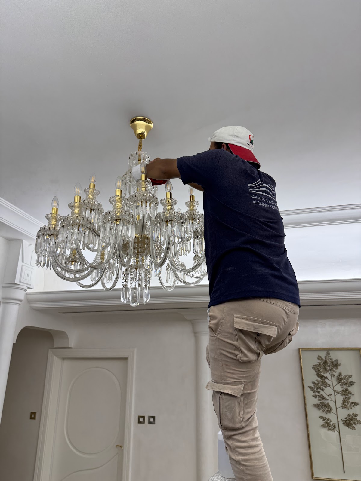Al Rabwa Pest Control Services (Abu Dhabi) — pest control in Abu Dhabi, photo 1
