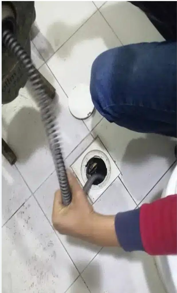 Al Shorouk Pest Control — pest control in Abu Dhabi, photo 1