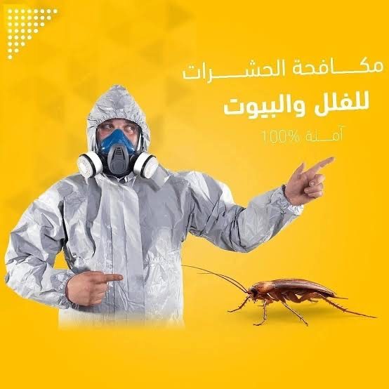 Al Shorouk Pest Control — pest control in Abu Dhabi, photo 2