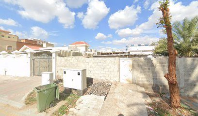 Al Tanwir LLC — pest control in Ajman, photo 1