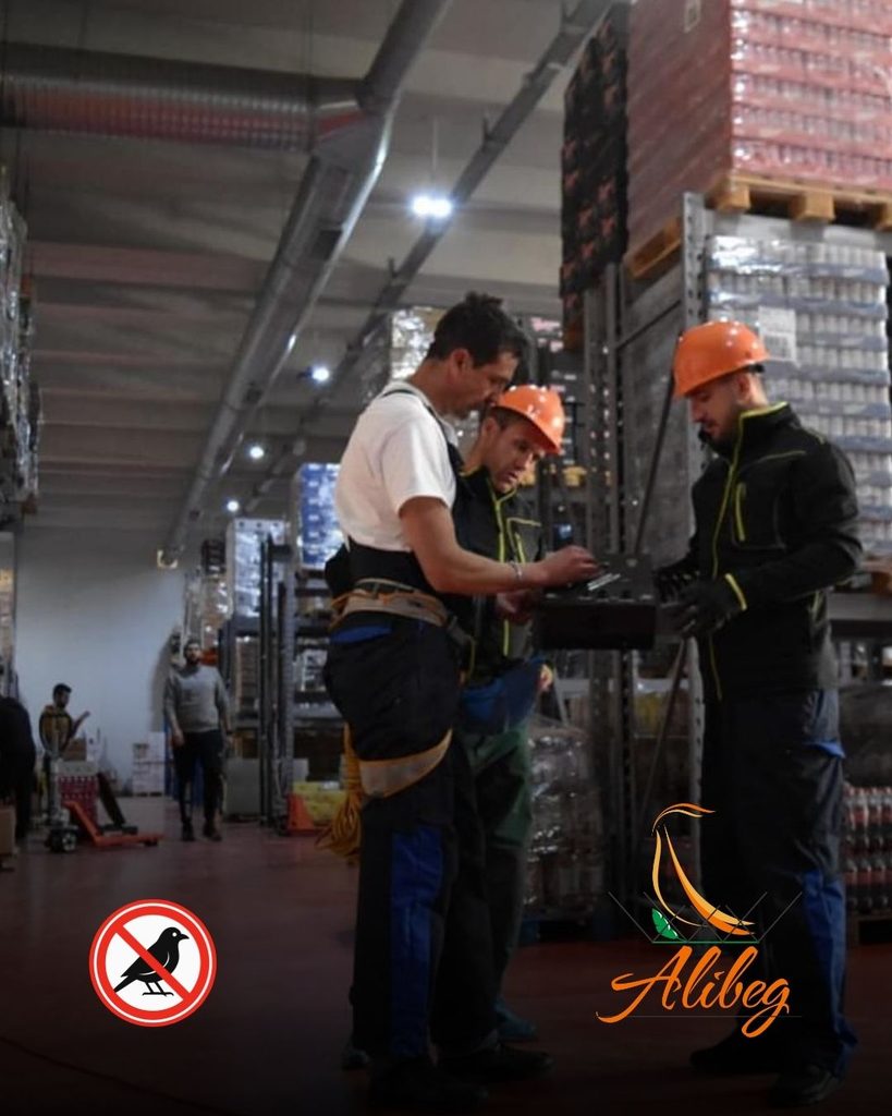 Alibeg Birds Control — pest control in Ras Al Khaimah, photo 1