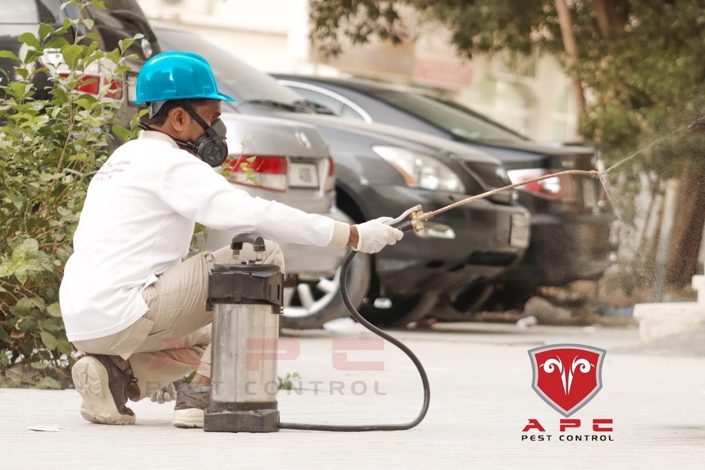 Alkaas Pest Control — pest control in Sharjah, photo 1