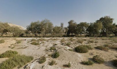 Almaladh Services — pest control in Dubai, photo 1