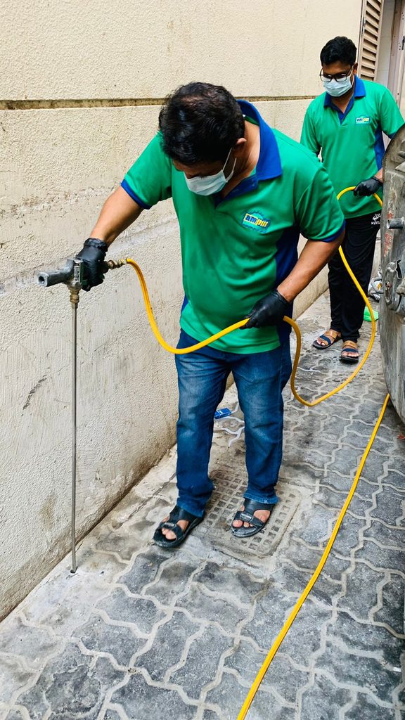 Almatafi Pest Control — pest control in Sharjah, photo 1
