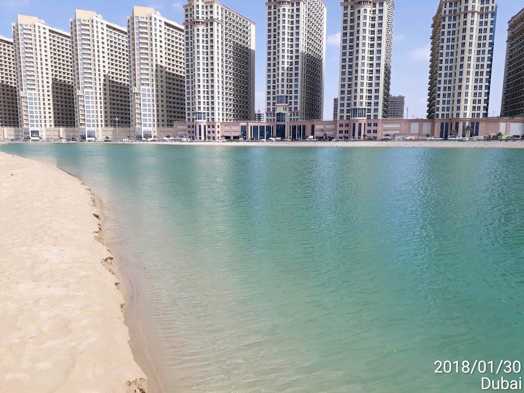 Alpha Environmental Solutions — pest control in Dubai, photo 1