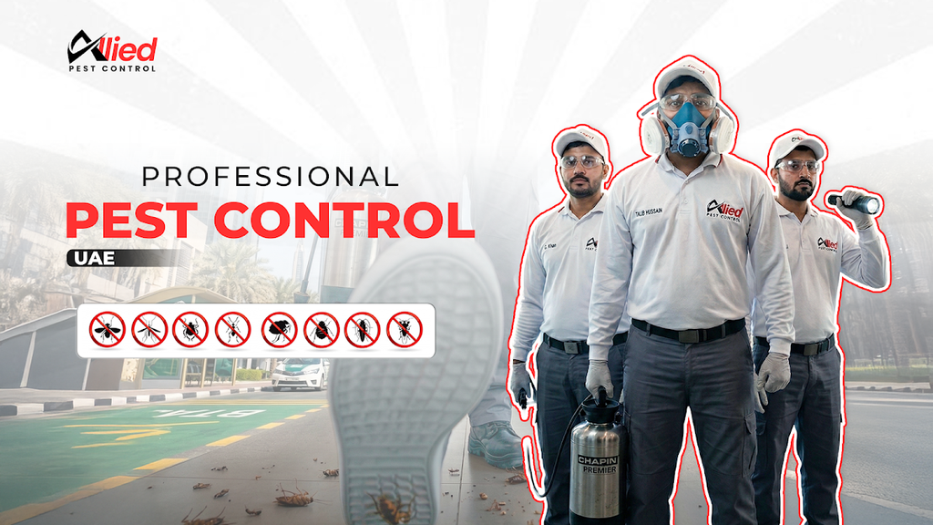 Arshad Allied Pest Control Services — pest control in Dubai, photo 1