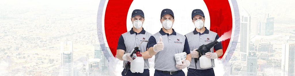 Asian Pest Control — pest control in Dubai, photo 3