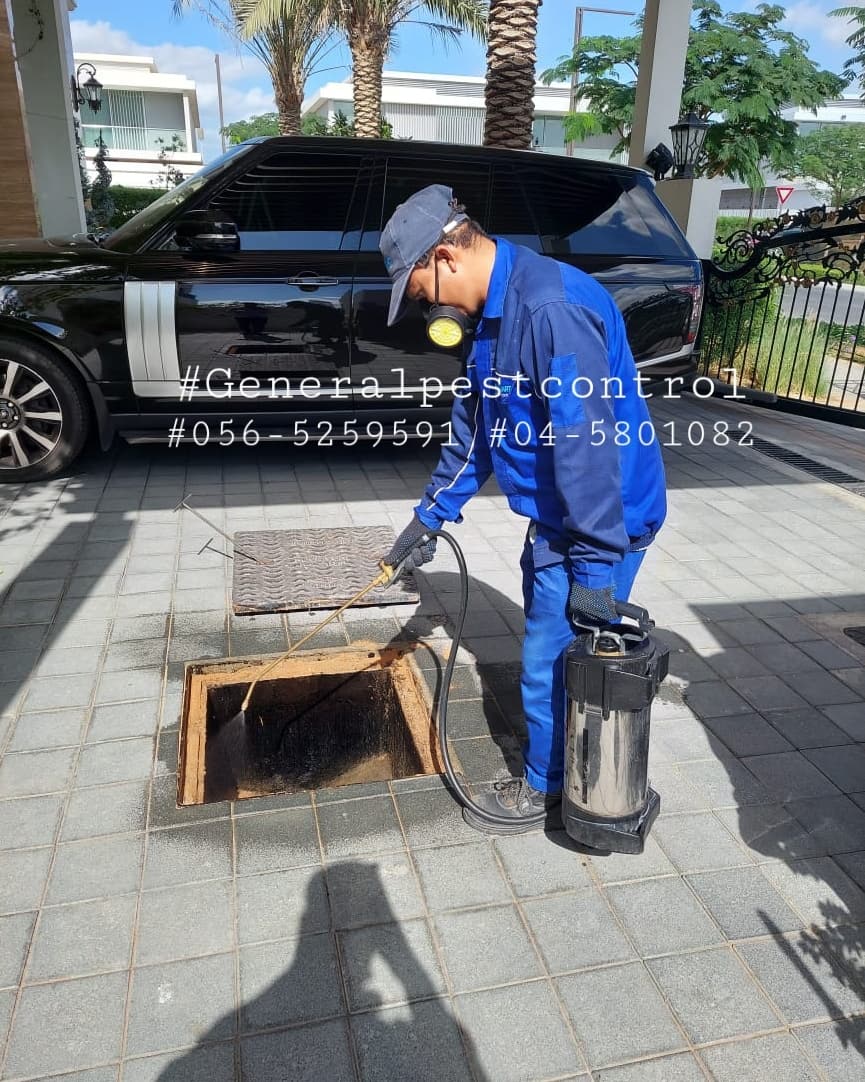 Blue Smart Pest Control — pest control in Dubai, photo 1