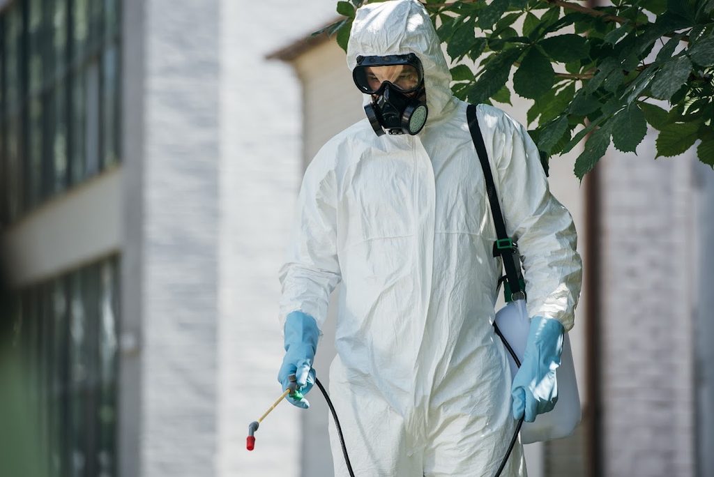 Brooq Pest Control Services — pest control in Dubai, photo 1
