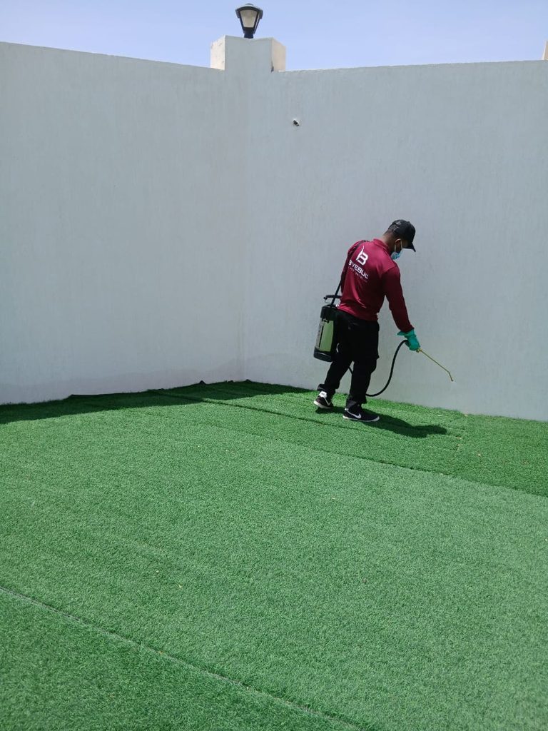 Byebug Pest Control LLC — pest control in Dubai, photo 1