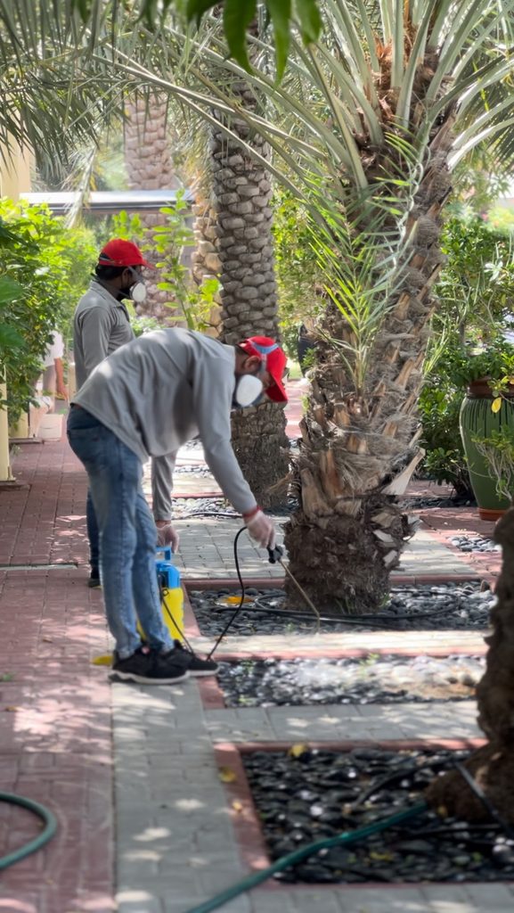 City Guard Pest Control LLC — pest control in Dubai, photo 2