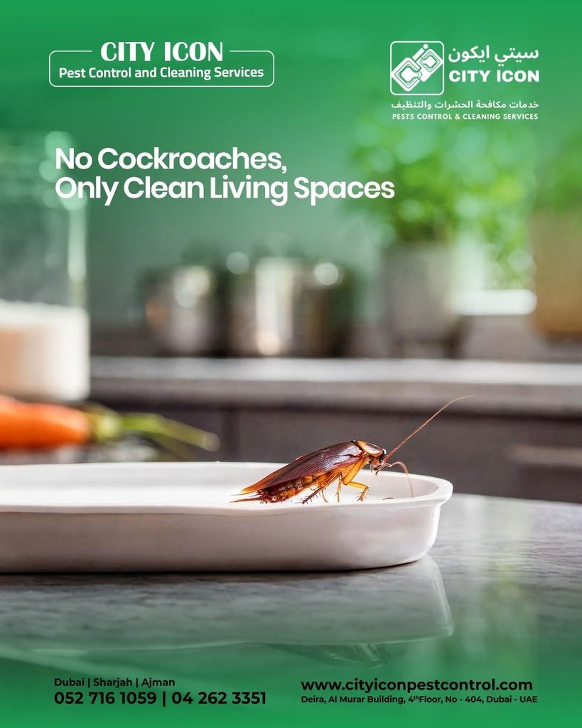 City Icon Pests Control Services — pest control in Dubai, photo 1