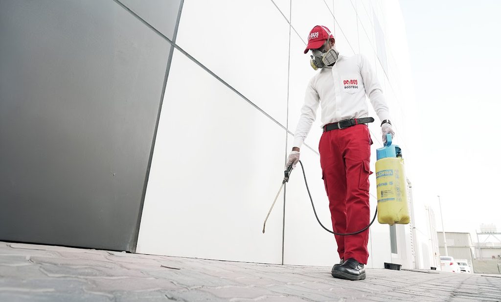 Debug Pest Control Services (Abu Dhabi) — pest control in Abu Dhabi, photo 1