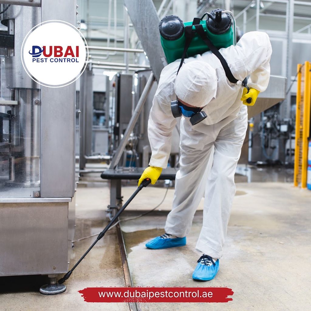 Dubai Pest Control Services — pest control in Dubai, photo 1