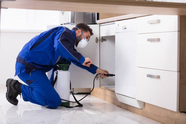 Dubai Pestco LLC — pest control in Dubai, photo 1