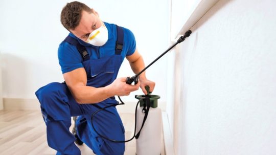 Ecopest Pest Control Services (Dubai) — pest control in Dubai, photo 2