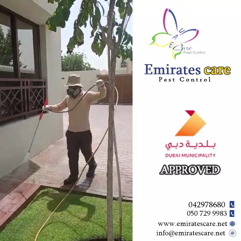 Emirates Care Pest Control — pest control in Dubai, photo 1