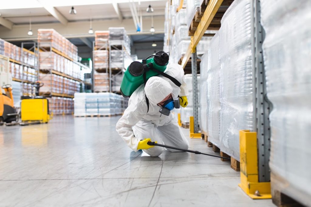 Ensure Pest Control Services (Dubai) — pest control in Dubai, photo 2