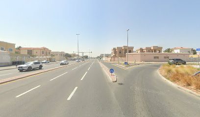 Environique Trading LLC — pest control in Dubai, photo 1