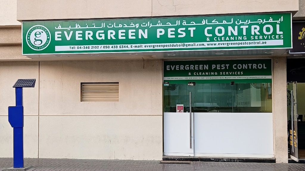 Ever Green Pest Control — pest control in Dubai, photo 1