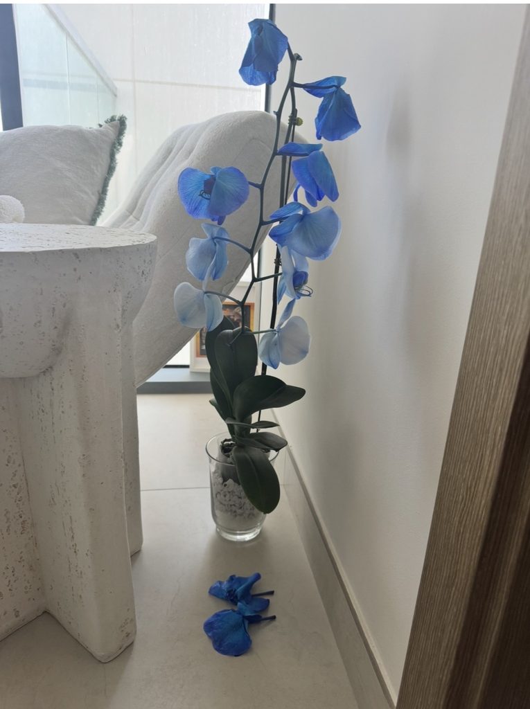 Expert Pest Control (Dubai) — pest control in Dubai, photo 1