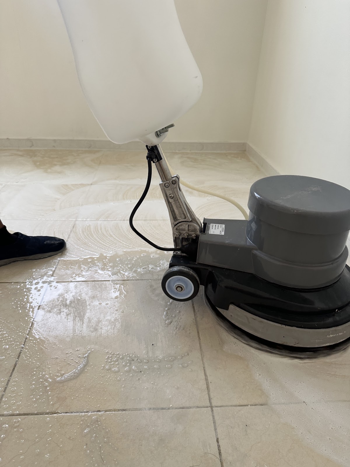 Fine Spire General Maintenance LLC — pest control in Abu Dhabi, photo 1