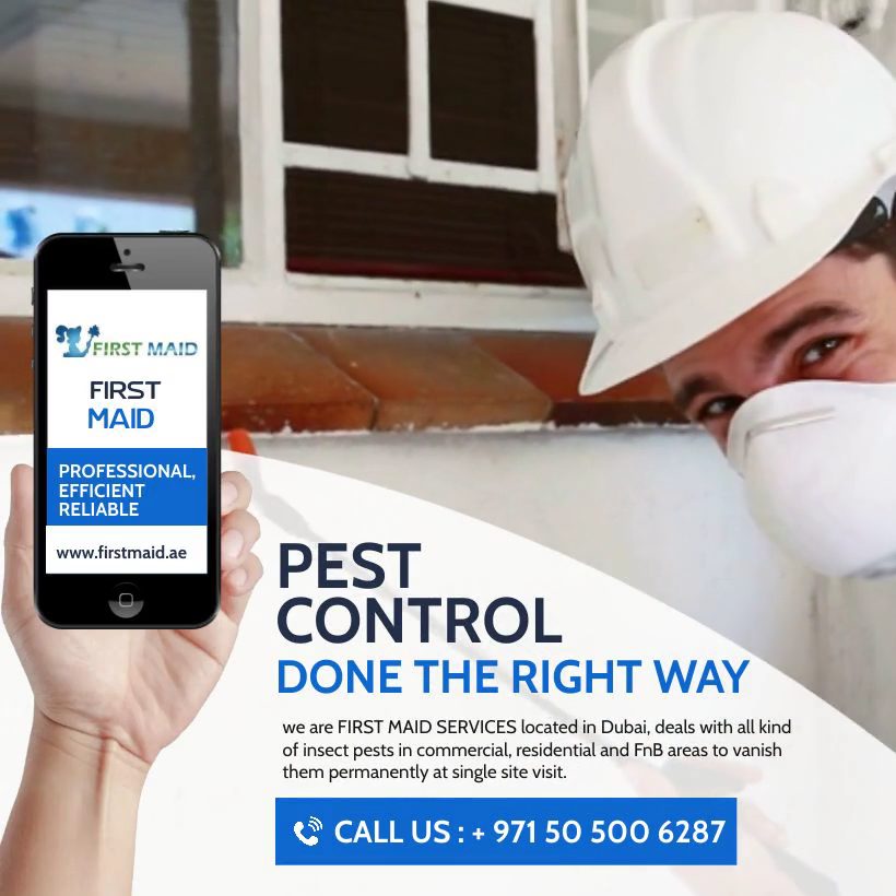 First Maid Cleaning Services — pest control in Dubai, photo 1
