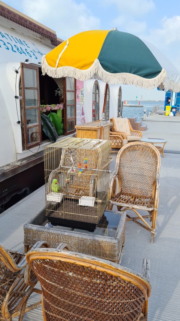 Friends Pest Control — pest control in Abu Dhabi, photo 1