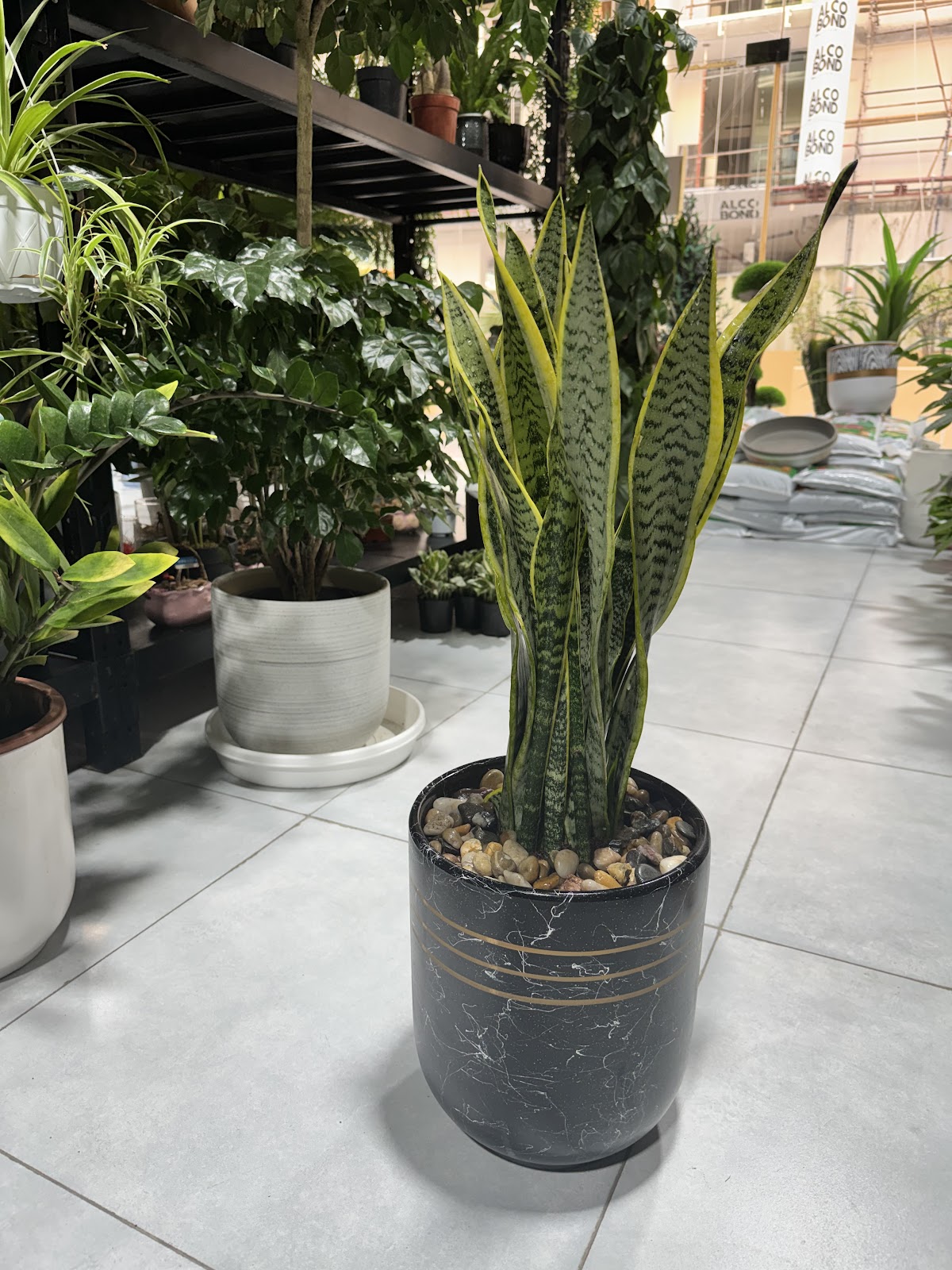 Garden Oasis Landscaping (Dubai) — pest control in Dubai, photo 1