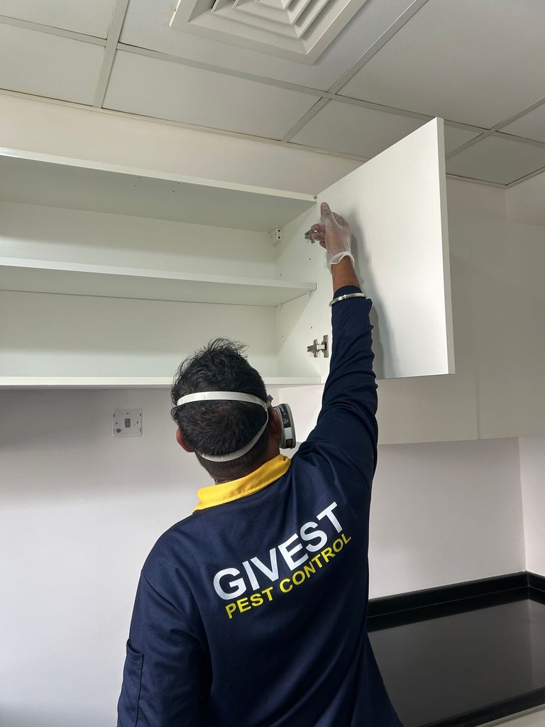 Givest Pest Control LLC — pest control in Dubai, photo 1
