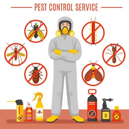 Golden Care Pests Control Services — pest control in Dubai, photo 2