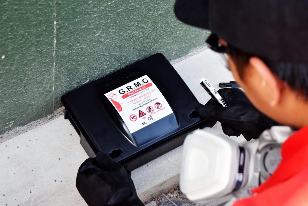 GRMC Pest Control — pest control in Abu Dhabi, photo 1