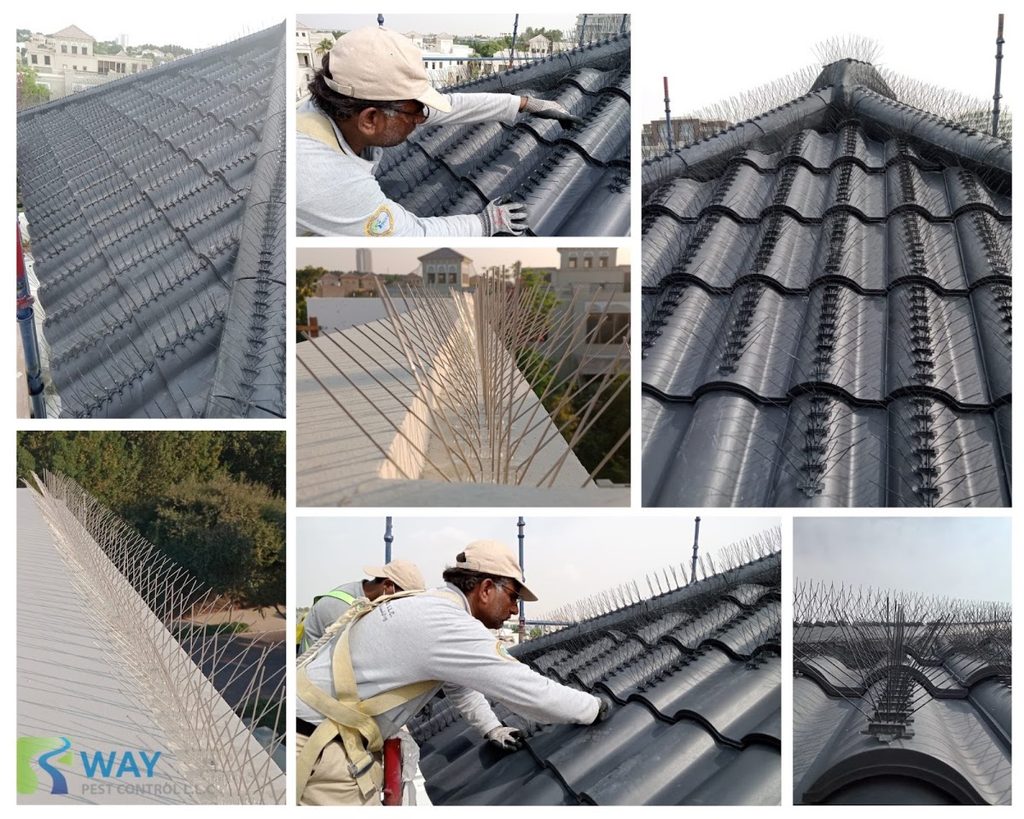 Handy Way Pest Control Services LLC — pest control in Dubai, photo 1
