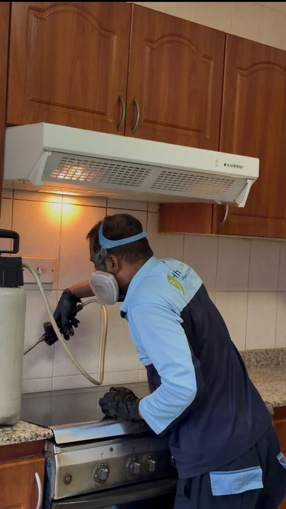 High Line Pest Control (Ras Al Khaimah) — pest control in Ras Al Khaimah, photo 1