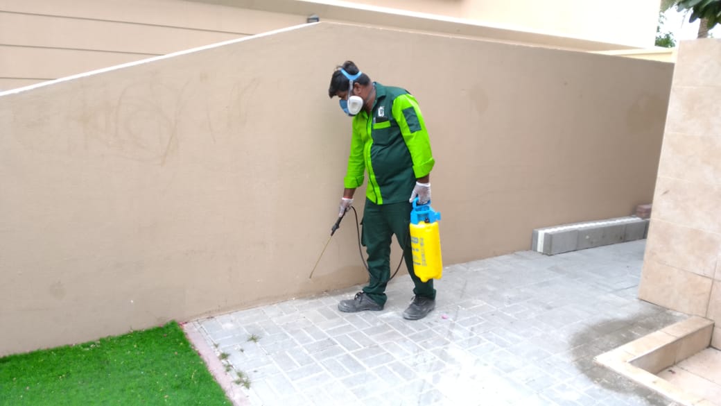 Hightech Pest Control — pest control in Dubai, photo 1