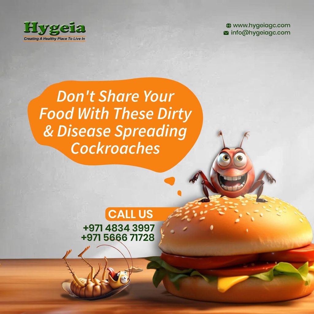 Hygeia Services LLC — pest control in Dubai, photo 1