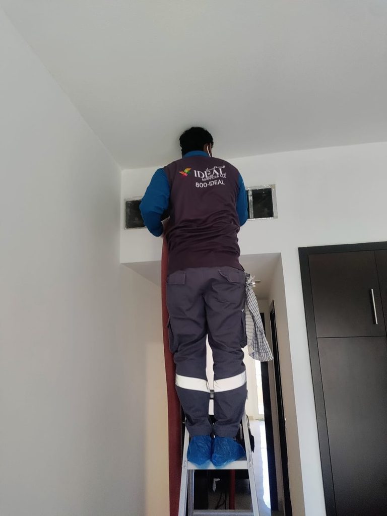 Ideal Services LLC — pest control in Dubai, photo 1