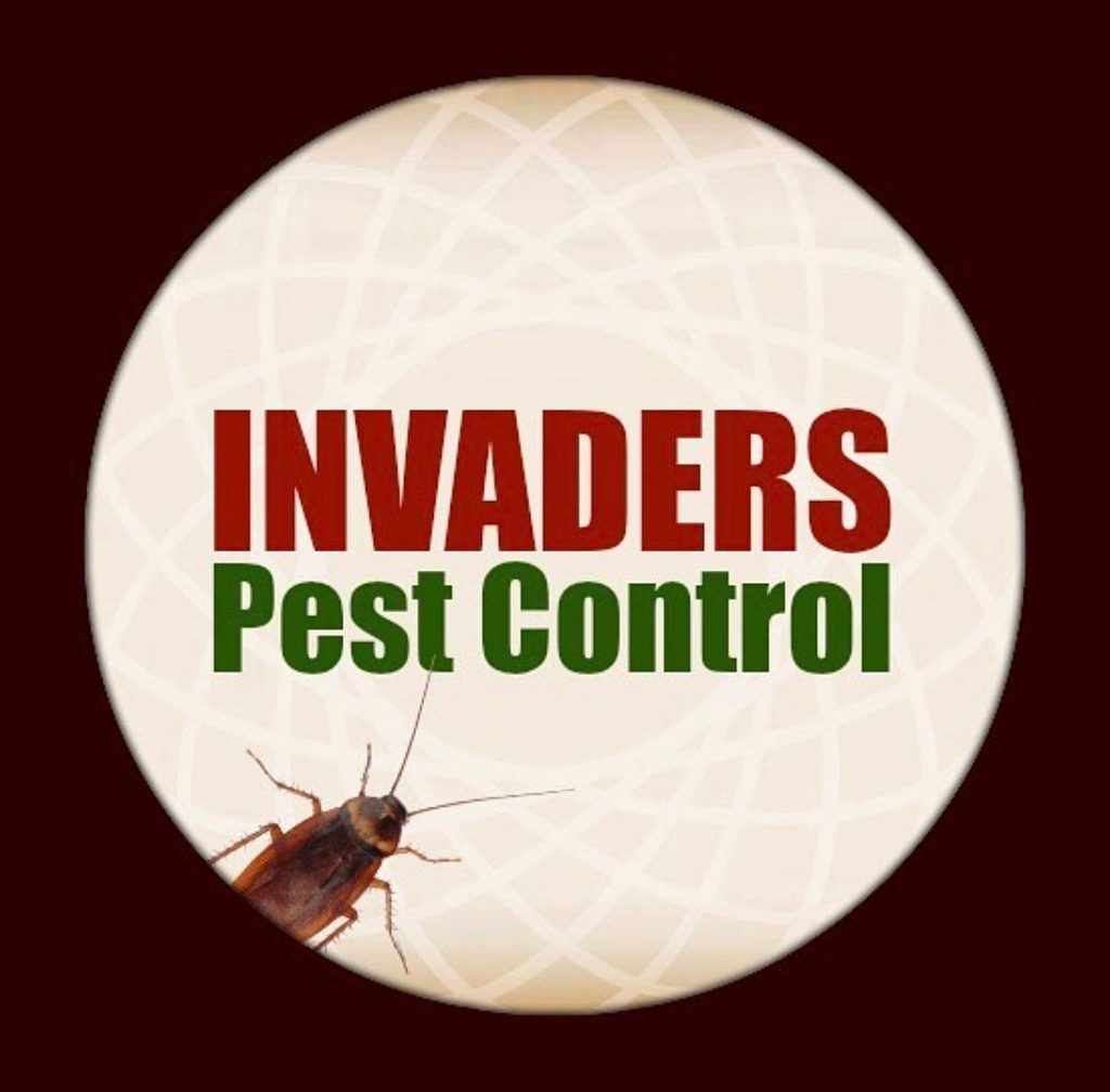 Invaders Building Services — pest control in Dubai, photo 1